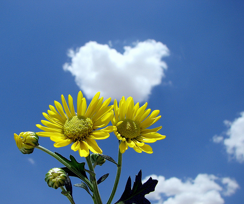 heart 910520444_a663bf1173.jpg
