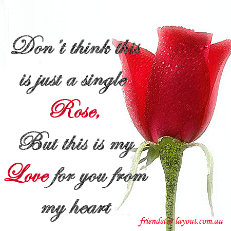 ilu red_rose.gif